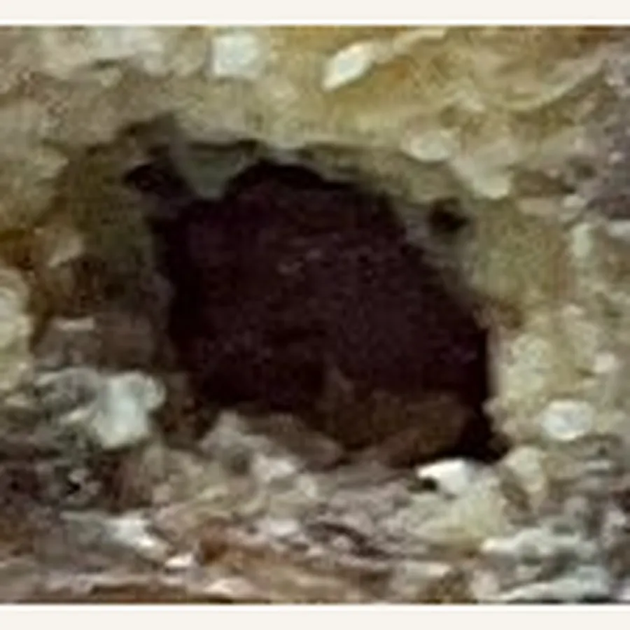 Clinical photograph of a diabetic heel wound at visit 4, HKL-62